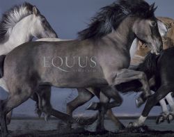 Book Cover Equus
